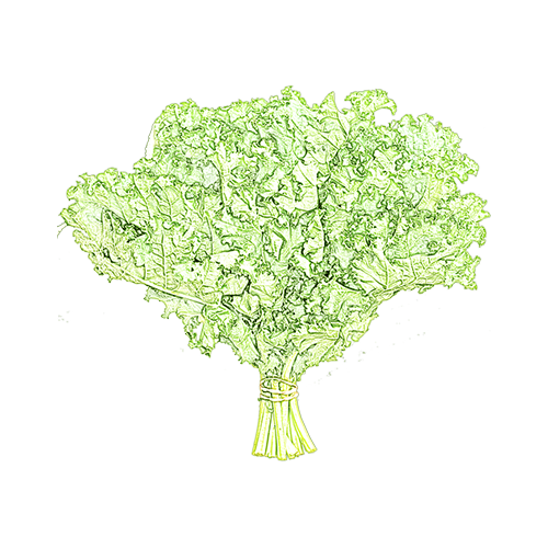 kale