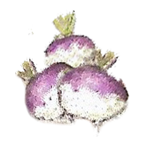 turnips